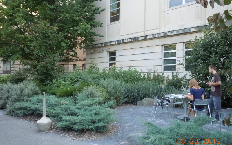 Cornell University's Mann Library Entrance | SITES