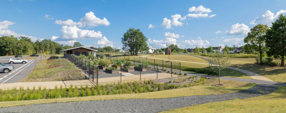 A community garden in a large park