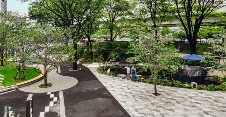 An arboreal public space with walkways of varying types.