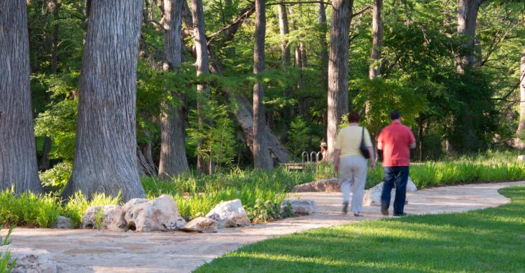 Two people stroll along a wooded pathway.